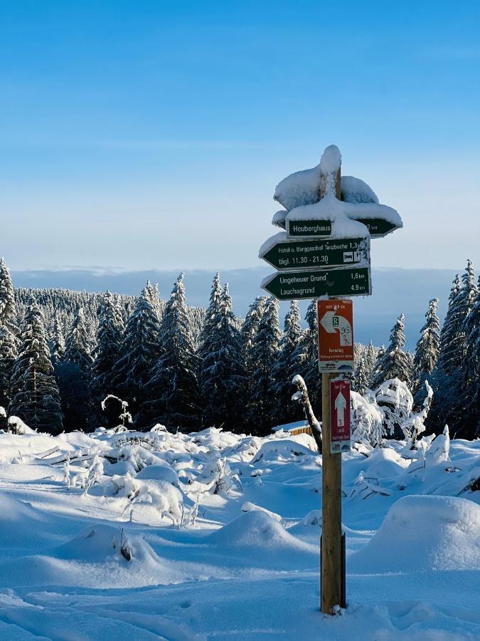 Hotel Und Berggasthof Tanzbuche Friedrichroda Ngoại thất bức ảnh